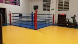 20161204_212934